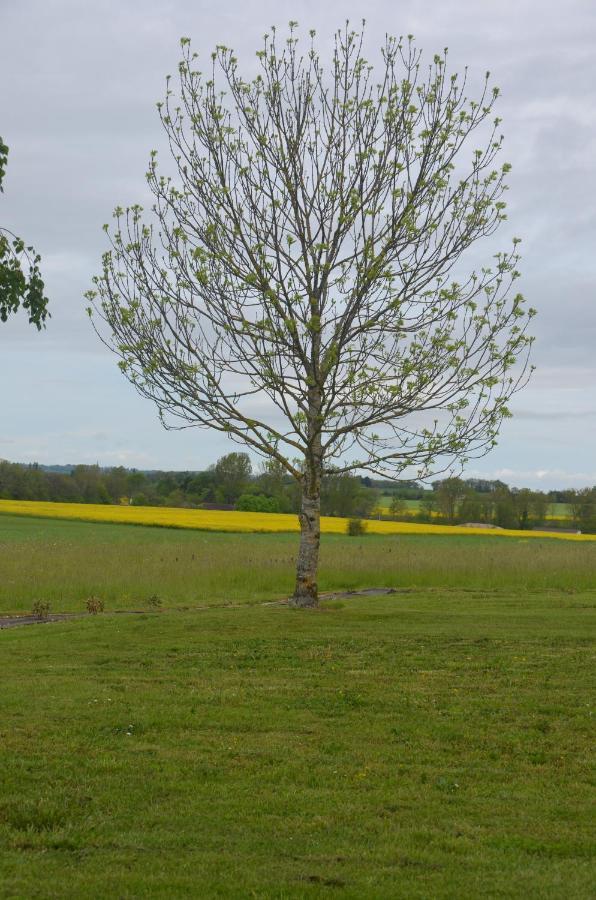 Le Murmure Des Fees Issigeac Buitenkant foto
